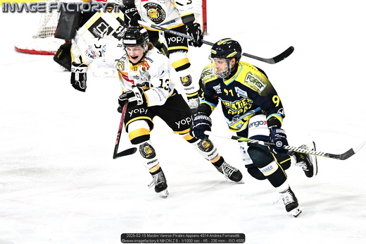 2025-02-15 Mastini Varese-Pirates Appiano 4914 Andrea Fornasetti